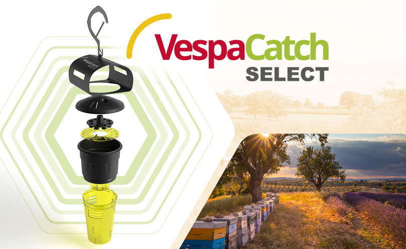 VespaCatch Select: Disponible en distribuidores de equipos apícolas.